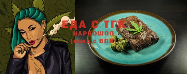 мдпв Гусев