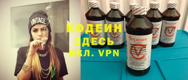 мдпв Гусев