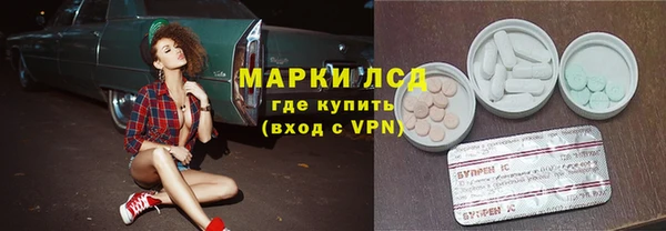 мдпв Гусев