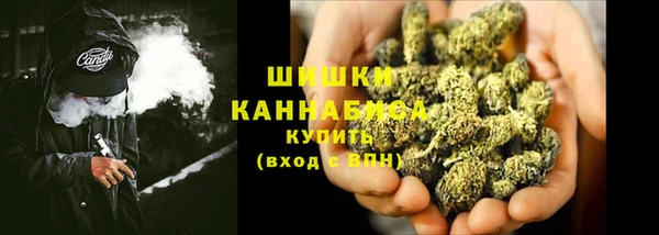 мдпв Гусев