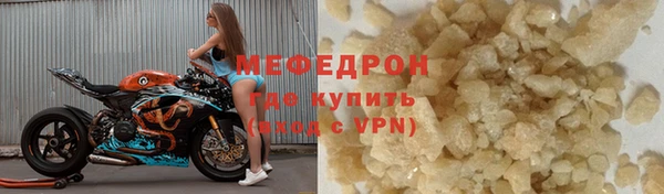 мдпв Гусев