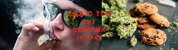 мдпв Гусев