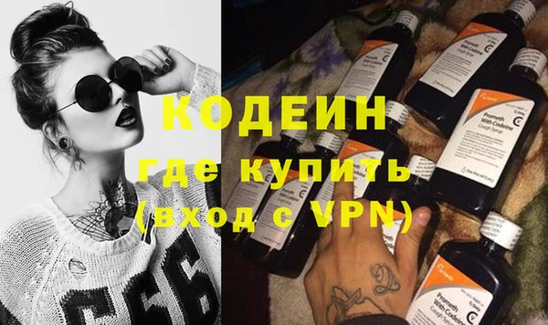 мдпв Гусев