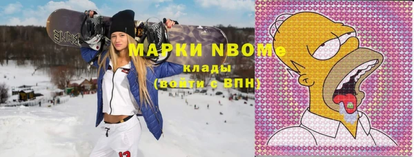 мдпв Гусев