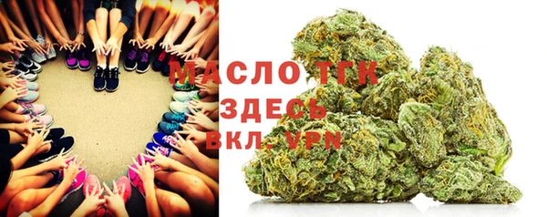 мдпв Гусев