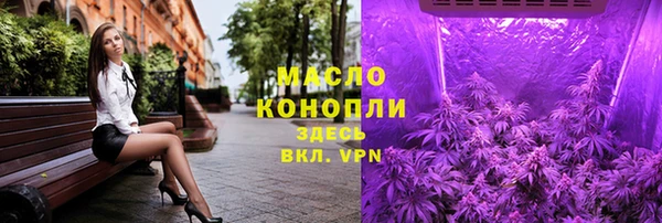мдпв Гусев