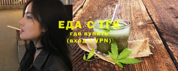 мдпв Гусев