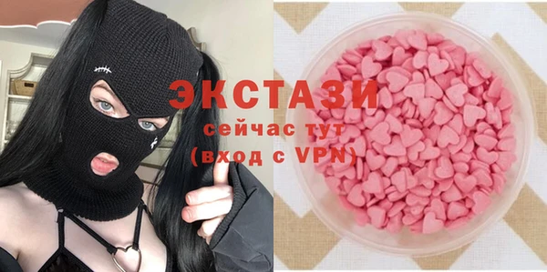 мдпв Гусев
