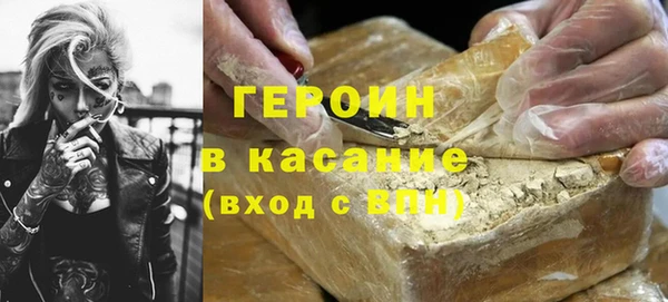 мдпв Гусев