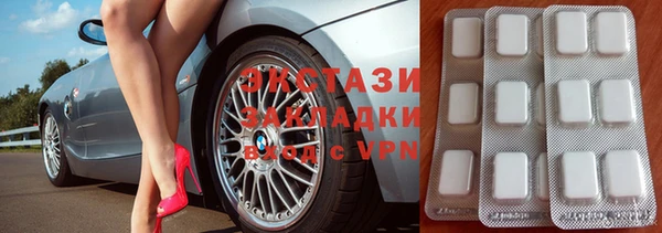 мдпв Гусев
