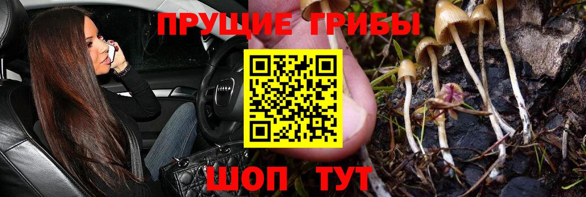 Галлюциногенные грибы ЛСД Выкса